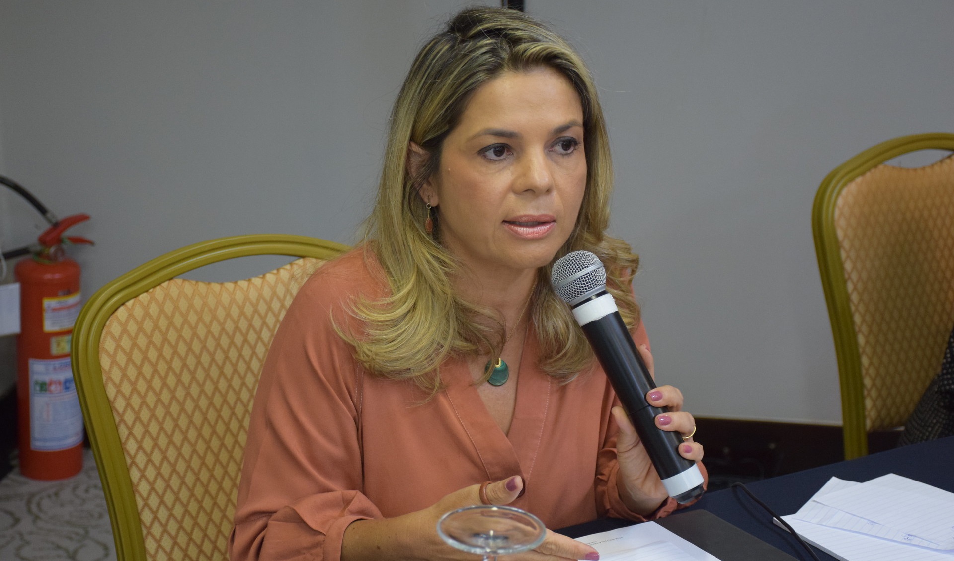 Quem defende o fim da JT é contra os direitos sociais, diz Noemia Porto